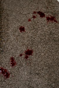 IMG_3329 - Version 2